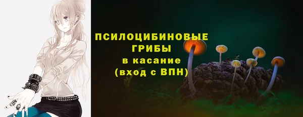метадон Белокуриха