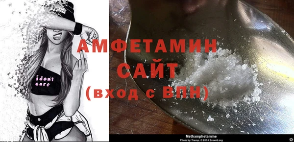 ГАЛЛЮЦИНОГЕННЫЕ ГРИБЫ Богданович