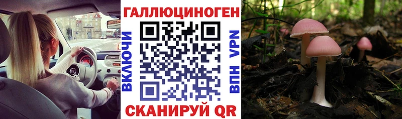 где продают   Верхняя Пышма  Галлюциногенные грибы ЛСД 